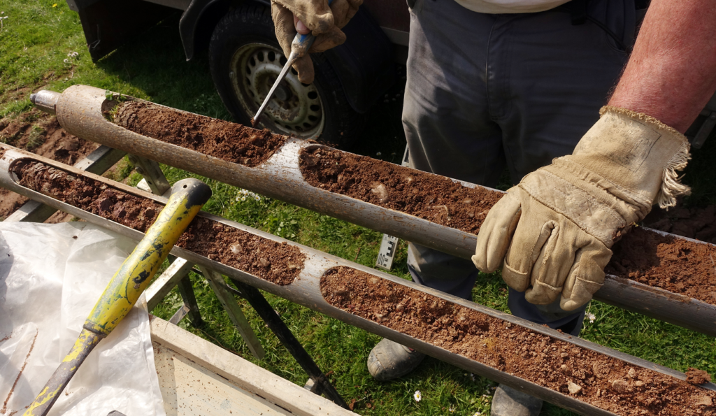 contaminated soil remediation